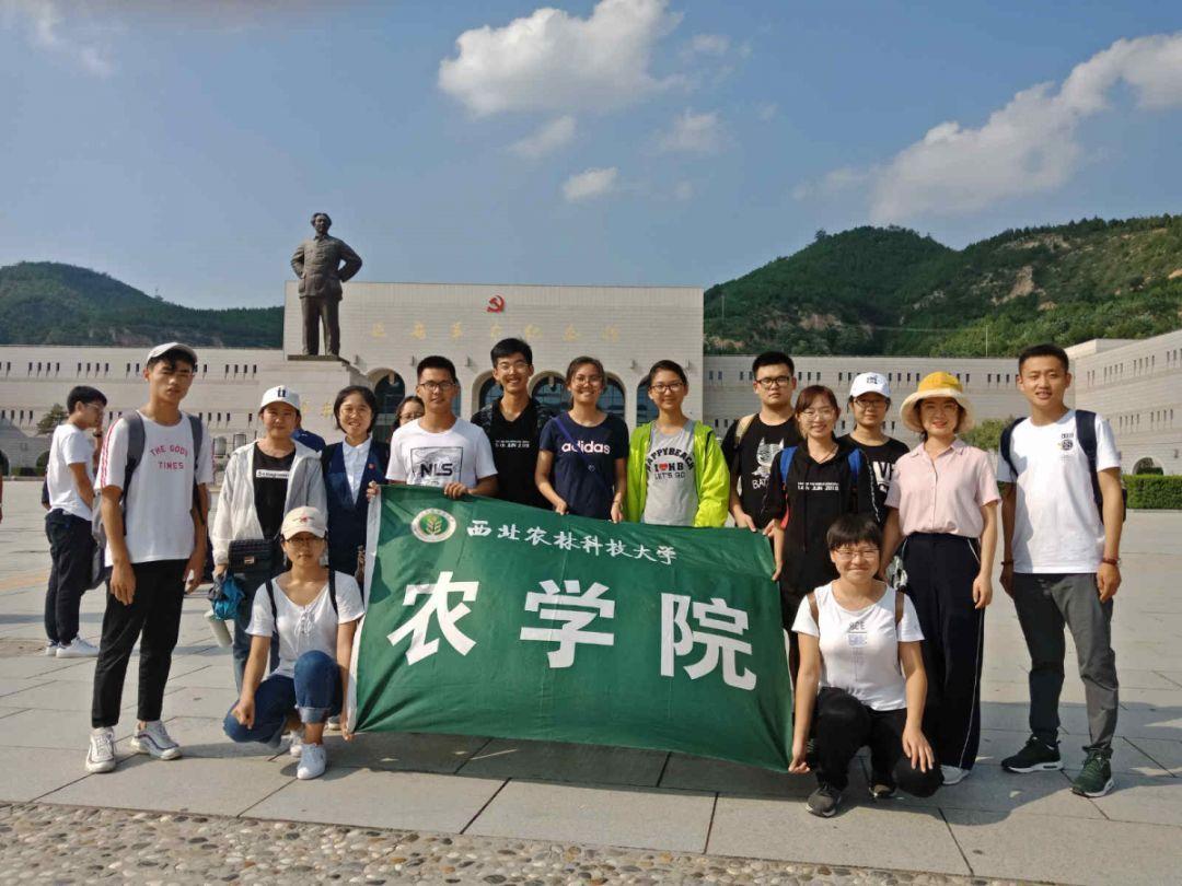 面粉里加生粉起什么作用？游戏画面